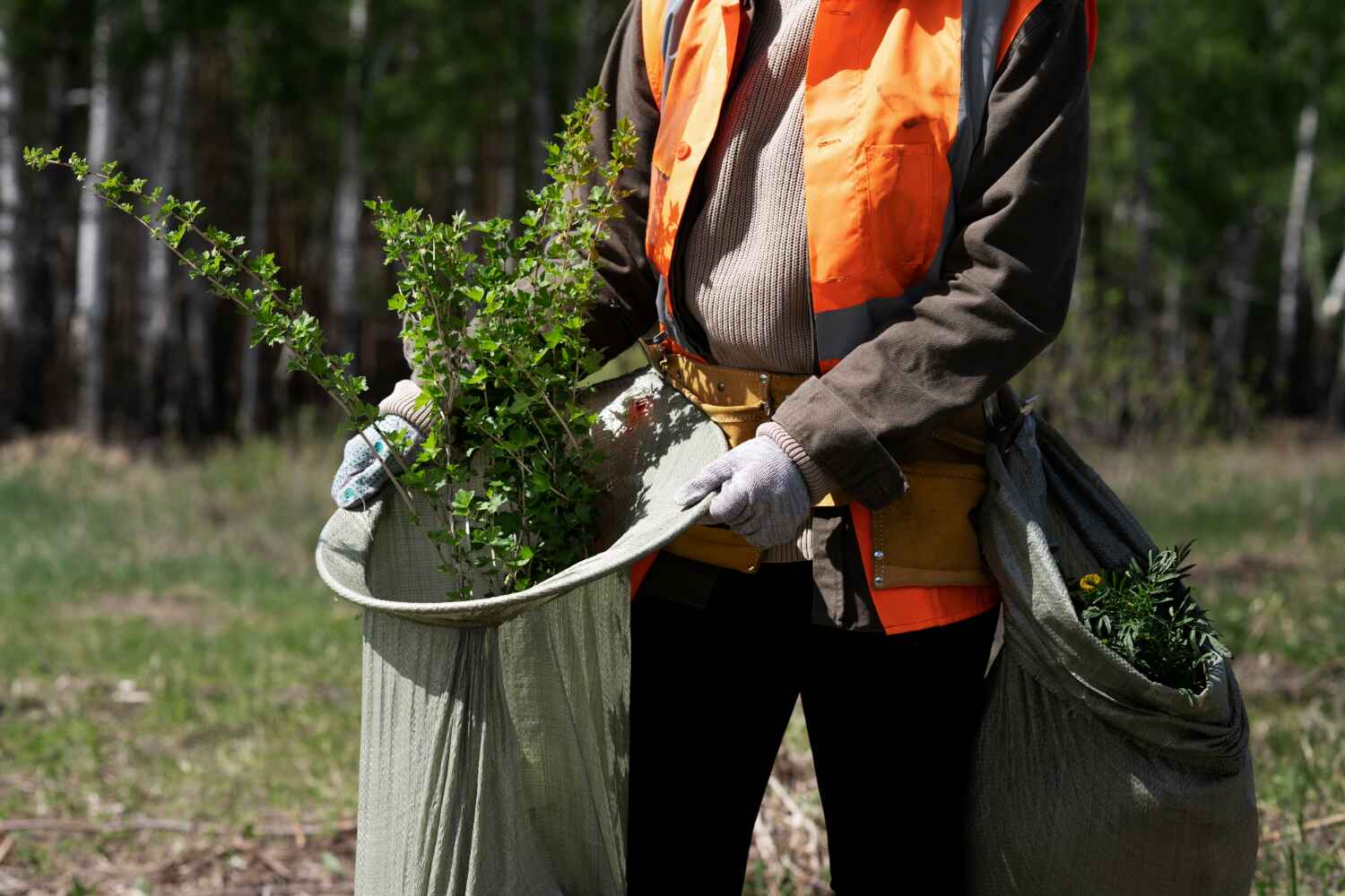 Best Local Tree Services  in USA